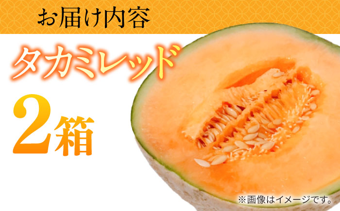 【2026年5月～発送】タカミメロン レッド 2箱 （1箱 3～6玉）/ メロン めろん フルーツ 果物 / 南島原市 / 南島原果物屋 [SCV032]