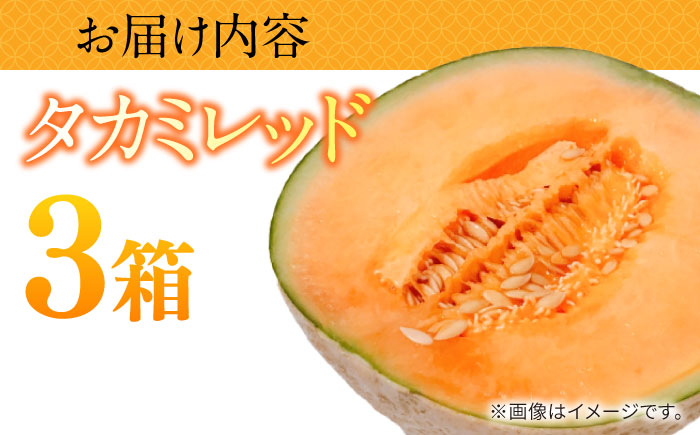 【2026年5月～発送】タカミメロン レッド 3箱 （1箱 3～6玉）/ メロン めろん フルーツ 果物 / 南島原市 / 南島原果物屋 [SCV033]