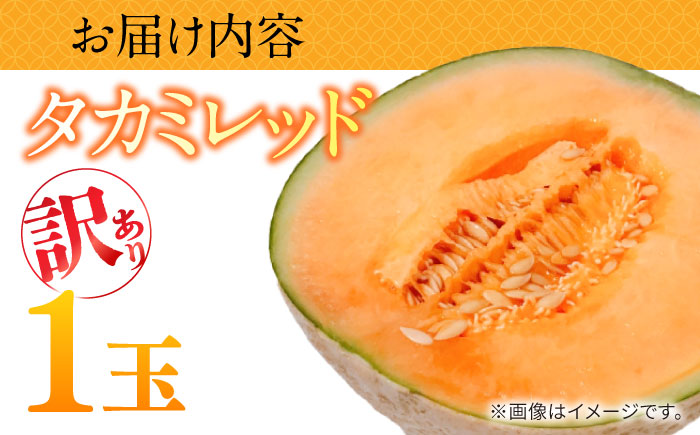 【2026年5月～発送】訳あり タカミメロン レッド 1玉 / メロン めろん フルーツ 果物 / 南島原市 / 南島原果物屋 [SCV034]