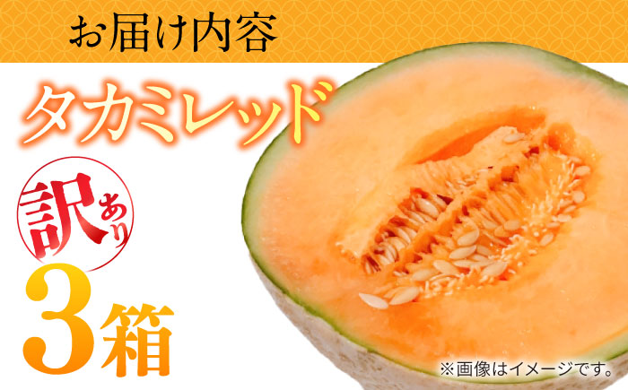 【2026年5月～発送】訳あり タカミメロン レッド 3箱 （1箱 3～6玉）/ メロン めろん フルーツ 果物 / 南島原市 / 南島原果物屋 [SCV038]