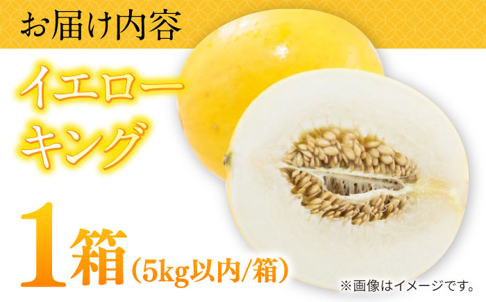 【2026年5月～発送】メロン イエローキング 1箱 5kg以内 （3～6玉）/ メロン めろん フルーツ 果物 / 南島原市 / 南島原果物屋 [SCV039]