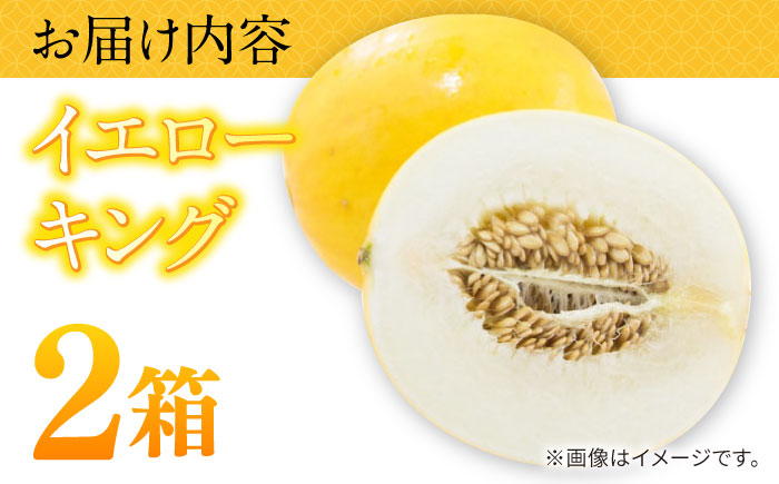 【2026年5月～発送】メロン イエローキング 2箱 （1箱 3～6玉）/ メロン めろん フルーツ 果物 / 南島原市 / 南島原果物屋 [SCV040]