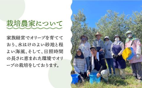 原城オリーブ エクストラヴァージン オイル 100ml 2本 / 調味料 油 オリーブオイル オリーブ / 南島原市 / ミナサポ [SCW026]