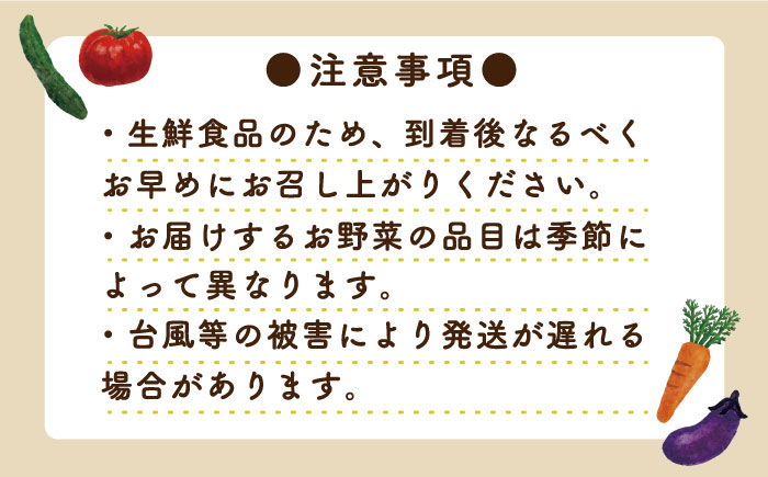 【12回定期便】地元農家さんが収穫した旬のお野菜  10種詰め合わせ / 野菜 旬 新鮮 採れたて 季節野菜 旬野菜 農家直送 野菜定期便 / 南島原市 / ミナサポ  [SCW047]