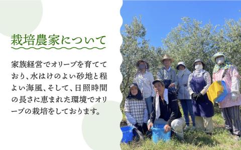 【3回定期便】原城オリーブ エクストラヴァージン オイル 100ml 2本 / 調味料 油 オリーブオイル オリーブ / 南島原市 / ミナサポ [SCW050]