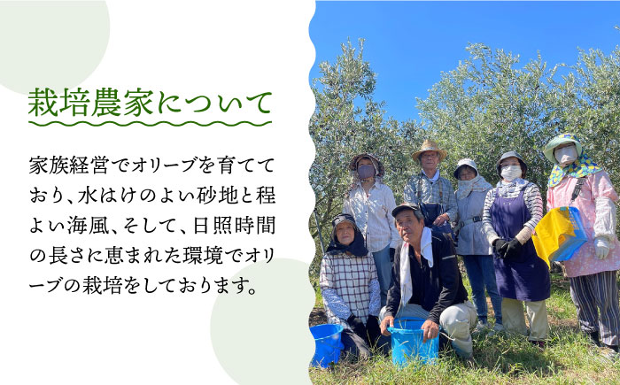 【6回定期便】 原城 オリーブ エクストラ・ヴァージンオイル  100ml 3本 / オリーブオイル オイル 油 調味料 / 南島原市 / ミナサポ [SCW058]