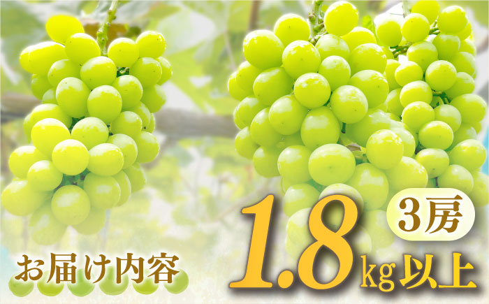 【2026年8月中旬～発送】【数量限定】【糖度18度以上】シャインマスカット 3房 1.8kg以上 / ぶどう ブドウ 葡萄 マスカット しゃいんますかっと フルーツ 果物 / 南島原市 / ミナサポ [SCW072]