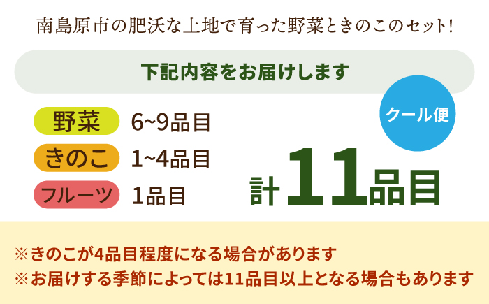 新鮮 野菜 キノコ 果物 11品目 詰め合わせ / 野菜 やさい きのこ キノコ 詰め合わせ セット / 吉岡青果 / 南島原市 [SCZ004]