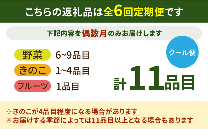 【6回定期便 偶数月コース】野菜 キノコ 果物 11品目 詰め合わせ  当日仕入れ当日発送！ / 定期便 野菜 春野菜 夏野菜 秋野菜 冬野菜 旬 きのこ キノコ 産地直送 / 南島原市 / 吉岡青果 [SCZ006]