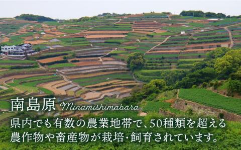 南島原産厳選きのこセット 4品目詰め合わせ / 南島原市 / 吉岡青果 [SCZ013]