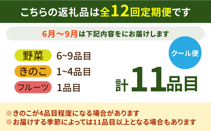 【12回定期便】豪華！野菜 セット 15品目以上 / 野菜 定期便 やさい 定期便 野菜セット やさいセット 春野菜 夏野菜 秋野菜 冬野菜 旬 / 南島原市 / 吉岡青果 [SCZ019]