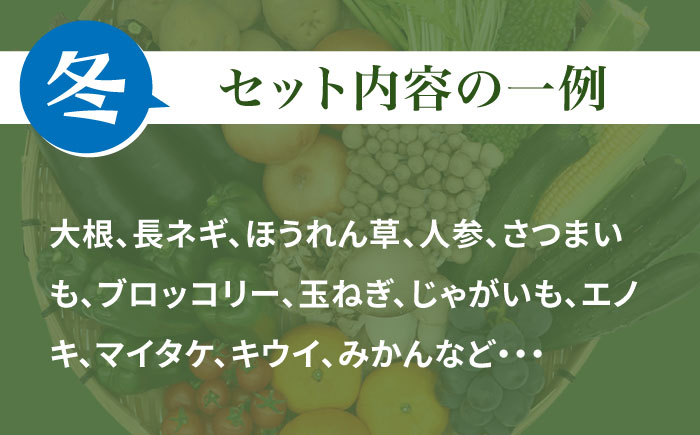 【10回定期便】 豪華！野菜 果物 きのこセット 15品目以上  / 野菜定期便 やさい定期便 フルーツ 果物 キノコ 詰め合わせ / 南島原市 / 吉岡青果 [SCZ025]