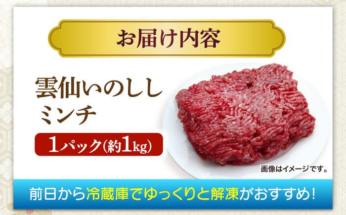 猪肉 ミンチ 1kg 雲仙いのしし / ひき肉 肉 イノシシ ジビエ いのしし ハンバーグ / 南島原市 / 株式会社高田牧場 [SDB012]