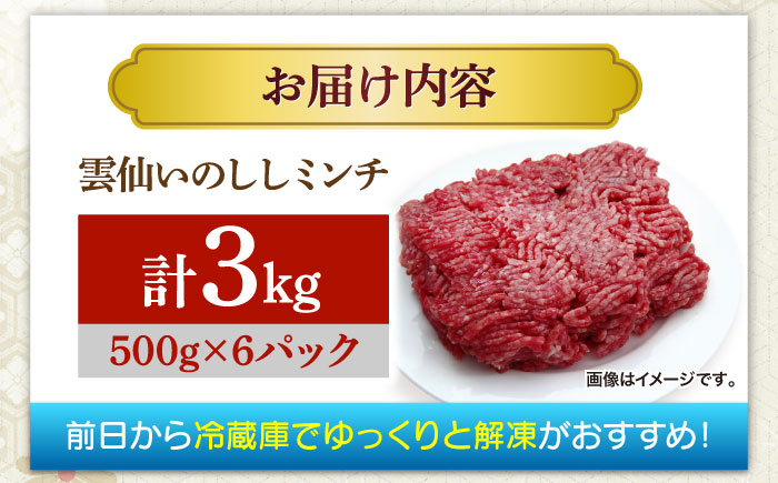 猪肉 ミンチ 3kg 雲仙いのしし / ひき肉 肉 イノシシ ジビエ いのしし ハンバーグ / 南島原市 / 株式会社高田牧場 [SDB014]