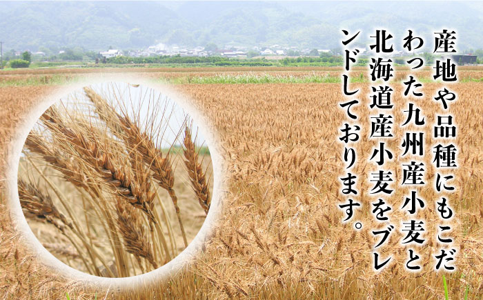 山道そうめん 国産小麦 100 / 50g×5束×2袋 / 南島原市 / そうめんの山道 [SDC003]