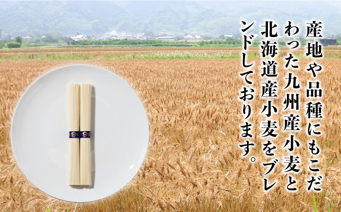 山道そうめん 特級品 50g×5束×2袋 / 南島原市 / そうめんの山道 [SDC004]