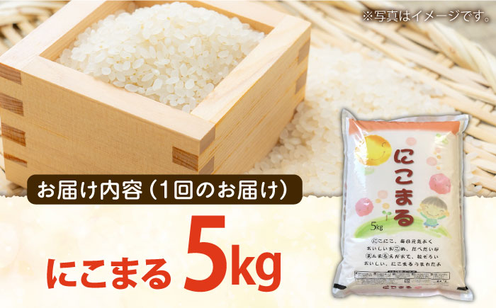 【3回定期便】 長崎県産 精米 にこまる 5kg 総計 15kg / 米 / 南島原市 / 大松屋商店 [SDR002]