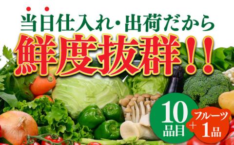 長崎ちゃんぽんと新鮮野菜セット 8人前（麺・スープ・野菜10種・果物1種）/ 野菜 生野菜 詰め合わせ 果物 スープ付 生麺 / 南島原市 / 贅沢宝庫 [SDZ001]