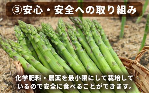 【生で食べられる】スイートアスパラ L～3L 約1.5kg / アスパラ あすぱら アスパラガス 3L 増田農園 アスパラガス 甘い / 南島原市 / 贅沢宝庫 [SDZ014]