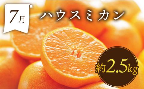 【6回定期便 奇数月コース】＜2026年1月～初回発送＞フルーツ定期便 旬のフルーツをセット/ いちご メロン ハウスみかん 梨 柿 など  / 定期便 旬 フルーツ 果物 春フルーツ 夏フルーツ 秋フルーツ 冬フルーツ / 南島原市 / 贅沢宝庫 [SDZ021]
