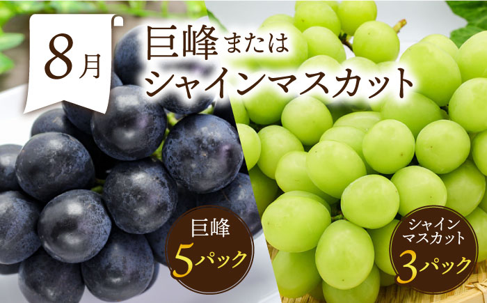 【6回定期便 偶数月コース】＜2026年2月～初回発送＞フルーツ定期便 旬のフルーツをセット / ハウスびわ メロン ぶどう 巨峰 みかん など / 定期便 旬 フルーツ 果物 春フルーツ 夏フルーツ 秋フルーツ 冬フルーツ / 南島原市 / 贅沢宝庫 [SDZ022]