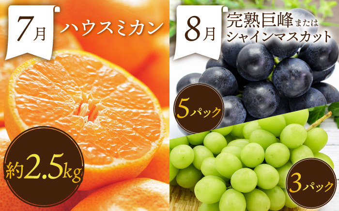 【12回定期便】＜2026年1月～初回発送＞フルーツ定期便 果物屋が選ぶ旬のフルーツ いちご メロン びわ みかん 梨 柿 ぶどう など / 果物定期便 フルーツ 定期便 果物 春フルーツ 夏フルーツ 秋フルーツ 冬フルーツ / 南島原市 / 贅沢宝庫 [SDZ023]