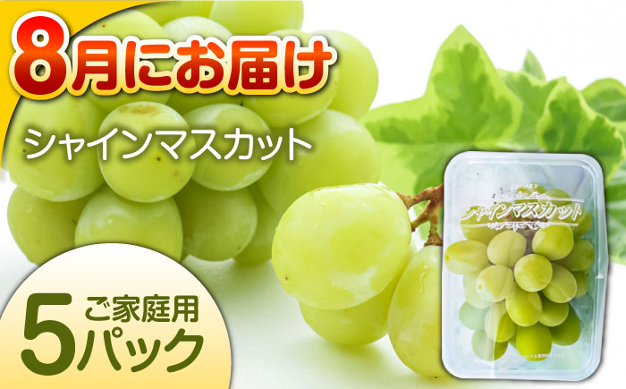 【偶数月 6回定期便】長崎・南島原グルメ バラエティ定期便 / バラエティ セット 野菜定期便 フルーツ定期便 フルーツ 果物 野菜 やさい そうめん 角煮 皿うどん ちゃんぽん / 南島原市 / 贅沢宝庫 [SDZ039]