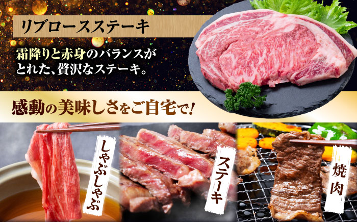 【6回定期便】長崎和牛 定期便　トライアルコース 計3.4kg お楽しみ 牛肉 バラエティ定期便 国産 / サーロイン カルビ ロース しゃぶしゃぶ 牛ミンチ リブロース / 南島原市 / 水田精肉店 [SDZ042]