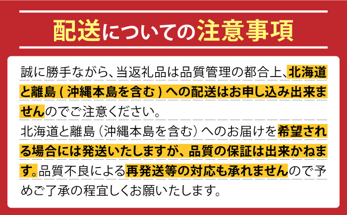 【ご入金から2～3か月程度で発送】【テレビで話題！】【希少な国産フルーツ】hotaru バナナ 2本 [SFA001]