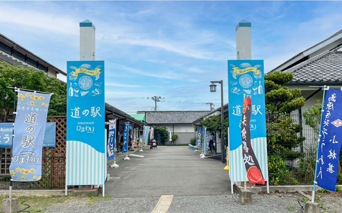 長崎名物皿うどん 食べ比べ3種 8食 / 皿うどん 長崎 中華 郷土料理 / 南島原市 / 道の駅ひまわり [SFR002]