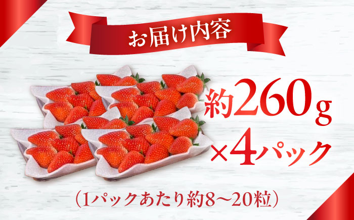 【2026年1月中旬?発送】【数量限定】いちご「ゆめのか」 約260g × 4P / イチゴ 苺 フルーツ 果物 産地直送 朝摘み / 南島原市 / O' Berry! [SGA001]