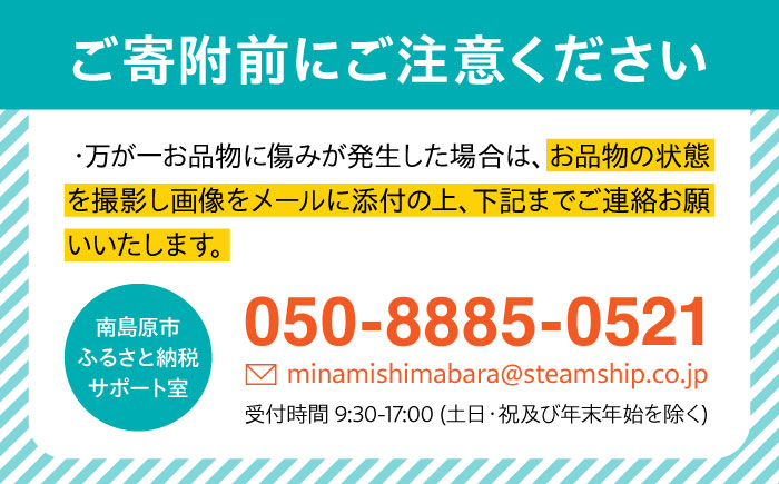 【2025年3月下旬?発送】【数量限定】長崎ハウス びわ 約1kg（約260g × 4p） / フルーツ びわ ビワ 枇杷 / 南島原市 / O' Berry! [SGA002]