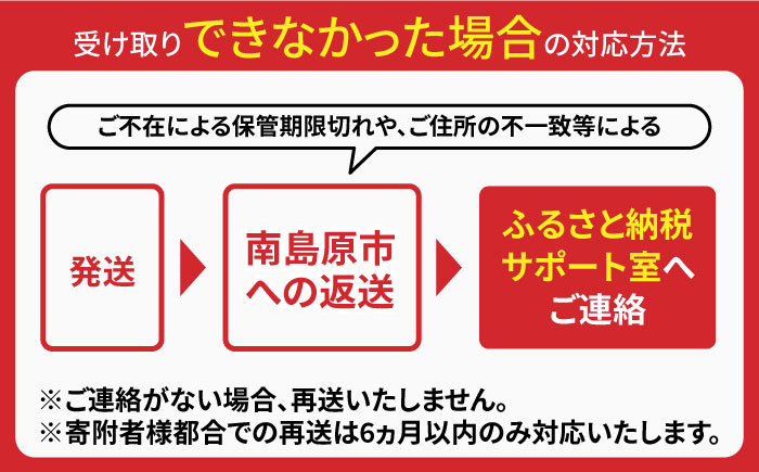 【邑居監修！麺つゆ付き】島原 手延べ そうめん 4人前 (50g×4束×2袋）めんつゆ 4袋 / 島原素麺物語 麺 乾麺 / 南島原市 / 三和サービス株式会社 [SGB010]