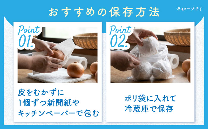 たまねぎ 5kg / タマネギ 玉葱 玉ねぎ 野菜 やさい カレー シチュー バーベキュー スープ サラダ / 南島原市 / 城谷農園 [SGV001]