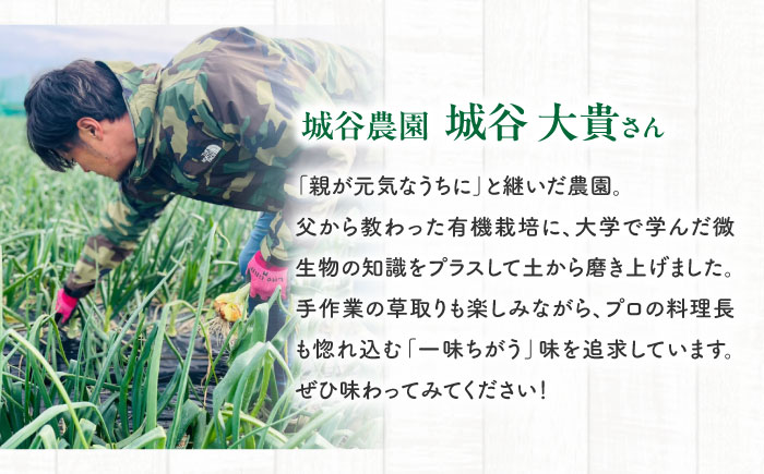 レモン 5kg 国産 希少 / れもん 檸檬 柑橘 フルーツ ふるーつ 果物 くだもの / 南島原市 / 城谷農園 [SGV002]