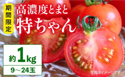 【2025年3月～発送】 特別栽培 高糖度 トマト 特ちゃん 南島原市／島原雲仙農業協同組合 南部基幹営農センター [SAB001]