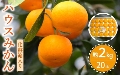 【2026年6月中旬〜発送】ハウス みかん 約2kg / 果物 フルーツ 贈答用 化粧箱 / 南島原市 / 島原雲仙農業協同組合  東南部基幹センター [SAC003]