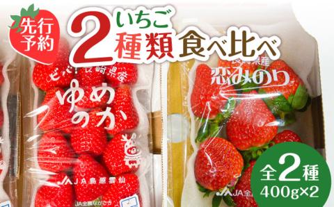 【2026年1月～発送】 いちご 2種類 食べ比べ 約250g×4P / ゆめのか こいみのり 果物 フルーツ / 南島原市 / JA島原雲仙東南部基幹センター[SAC006]
