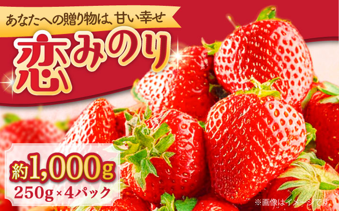 【2026年1月～発送】 いちご 恋みのり 250g × 4パック / 果物 フルーツ / 南島原市 / JA島原雲仙東南部基幹センター[SAC007]