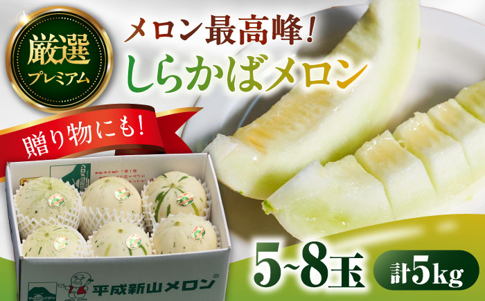 【2026年3月中旬~発送】【平成新山PREMIUM（とみちゃん厳選）】しらかばメロン 5玉～8玉 約5kg / 果物 フルーツ / 南島原市 [SAD002]