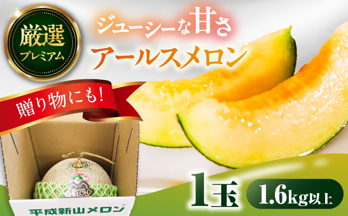 【2026年7月下旬～発送】【平成新山PREMIUM（とみちゃん厳選）】アールスメロン 1玉 / 果物 フルーツ / 南島原市 [SAD005]