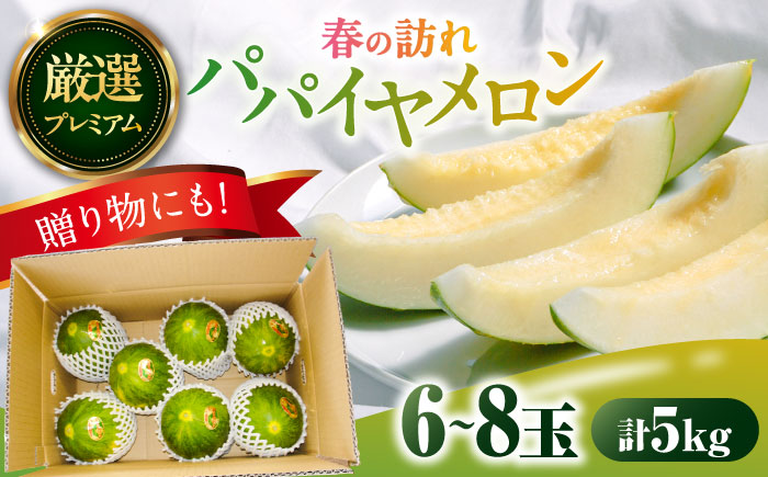 【2026年3月中旬~発送】【平成新山PREMIUM（とみちゃん厳選）】パパイヤメロン 6～8玉 約5Kg / 果物 フルーツ / 南島原市 [SAD007]
