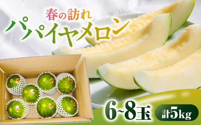【2026年3月中旬～発送】パパイヤメロン 6～8玉 約5kg / メロン めろん 果物 フルーツ / 南島原市 / うえだメロン園 [SAD008]