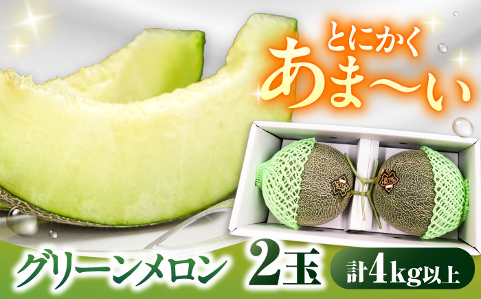 【2026年7月初旬～発送】グリーンメロン 2玉 約4kg / メロン めろん 果物 フルーツ / 南島原市 / うえだメロン園 [SAD010]