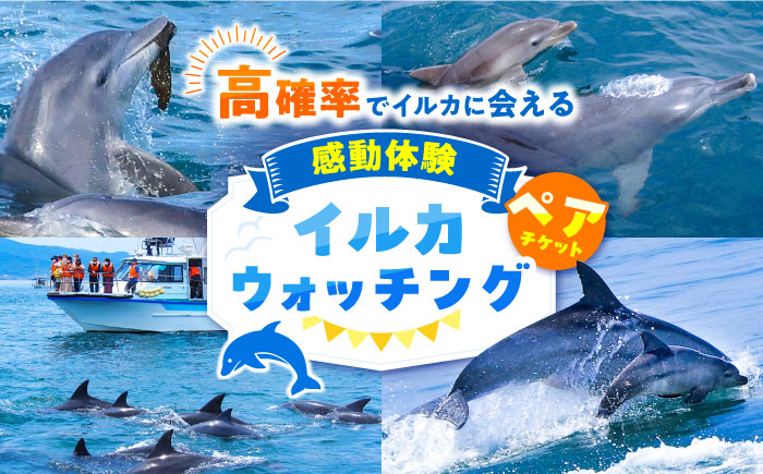 南島原 イルカウォッチング ペアチケット / イルカ 観光 南島原市 / 南島原イルカウォッチング [SAE001]