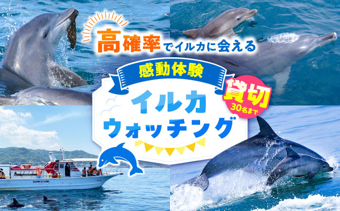 南島原 貸切 イルカウォッチング / 観光チケット 体験 貸し切り / 南島原市 / 南島原イルカウォッチング [SAE007]