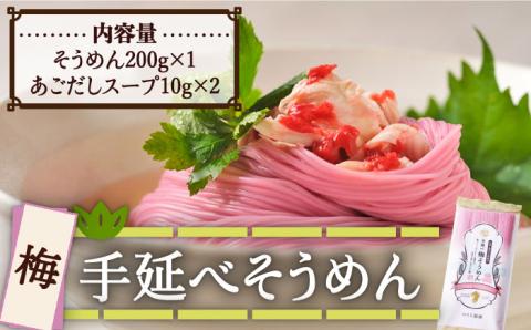手延べ梅そうめん 200g あごだし スープ 付 / 麺 乾麺 梅 / 南島原市 / のうち製麺 [SAF013]