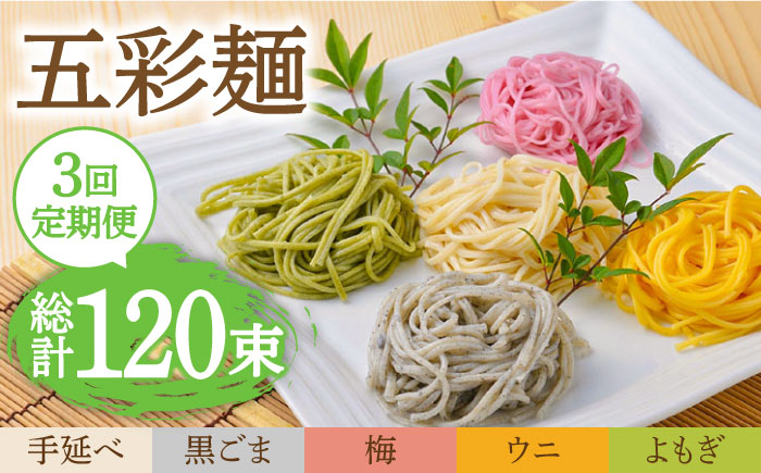 【3回定期便】五彩麺 セット 40束 / 黒ごま 梅 うに よもぎ / 麺 乾麺 食べ比べ 詰め合わせ カラフル / 南島原市 / のうち製麺 [SAF027]