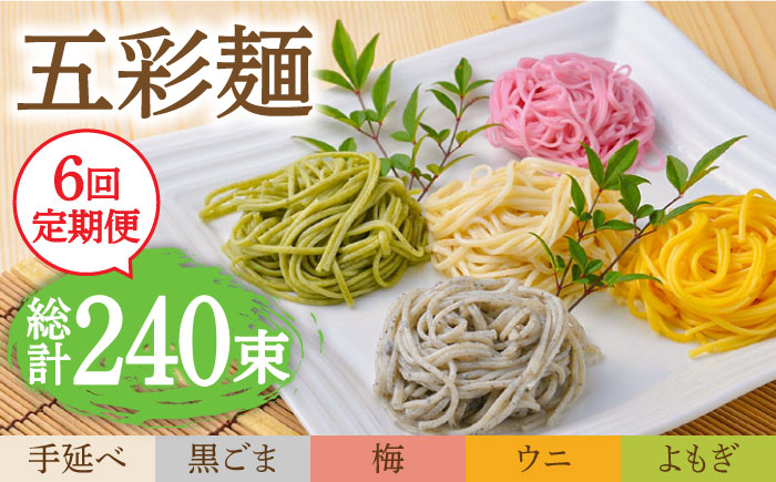 【6回定期便】五彩麺 セット 40束 / 黒ごま 梅 うに よもぎ / 麺 乾麺 食べ比べ 詰め合わせ カラフル / 南島原市 / のうち製麺 [SAF028]
