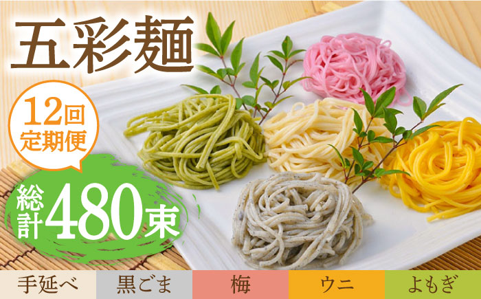 【12回定期便】五彩麺 セット 40束 / 黒ごま 梅 うに よもぎ / 麺 乾麺 食べ比べ 詰め合わせ カラフル / 南島原市 / のうち製麺 [SAF029]